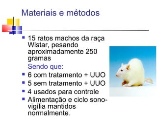 Materiais e métodos
 15 ratos machos da raça
Wistar, pesando
aproximadamente 250
gramas
Sendo que:
 6 com tratamento + UUO
 5 sem tratamento + UUO
 4 usados para controle
 Alimentação e ciclo sono-
vigília mantidos
normalmente.
 