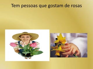 Tem pessoas que gostam de rosas
 