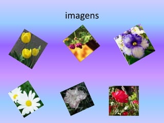 imagens
 
