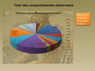 Total dos comportamentos observados


                                      MVV só foi
                                      observado
                                      no período
                                      da tarde.




                LO
               18%
 
