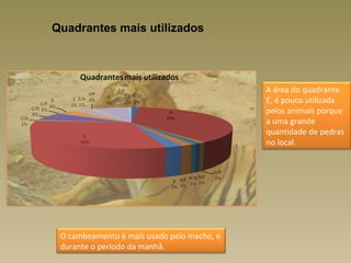 Quadrantes mais utilizados




                                            A área do quadrante
                                            E, é pouco utilizada
                                            pelos animais porque
                                            a uma grande
                                            quantidade de pedras
                                            no local.




 O cambeamento é mais usado pelo macho, e
 durante o período da manhã.
 