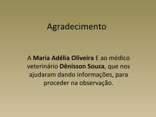 Agradecimento


A Maria Adélia Oliveira E ao médico
veterinário Dênisson Souza, que nos
 ajudaram dando informações, para
      proceder na observação.
 