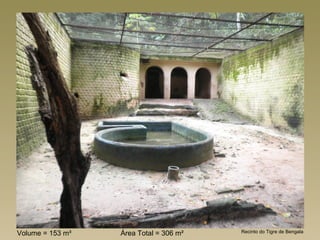 Volume = 153 m³   Área Total = 306 m²   Recinto do Tigre de Bengala
 