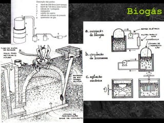 Biogás 