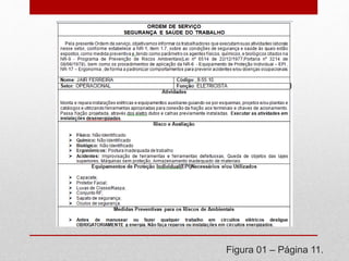 Figura 01 – Página 11.
 