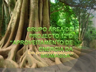 Grupo ÁREA DE projecto 12ºD “Aproveitamento de Energia da Biomassa” Um projecto ecológico 