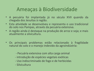 Ameaças à Biodiversidade
• A pecuária foi implantada já no século XVII quando da
chegada dos Jesuítas à região.
• Esta atividade se desenvolveu e representa o uso tradicional
do solo nos Pampas, através da pecuária extensiva.
• A região ainda é destaque na produção de arroz e soja; e mais
atualmente a silvicultura.
• Os principais problemas estão relacionado à fragilidade
natural do solo e o manejo indevido da agroindústria:
- Pecuária extensiva com alta carga animal
- introdução de espécies vegetais exóticas
- Uso indiscriminado de fogo e de herbicidas
- Silvicultura

 