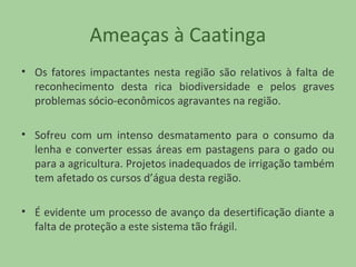 Ameaças à Caatinga
• Os fatores impactantes nesta região são relativos à falta de
reconhecimento desta rica biodiversidade e pelos graves
problemas sócio-econômicos agravantes na região.
• Sofreu com um intenso desmatamento para o consumo da
lenha e converter essas áreas em pastagens para o gado ou
para a agricultura. Projetos inadequados de irrigação também
tem afetado os cursos d’água desta região.
• É evidente um processo de avanço da desertificação diante a
falta de proteção a este sistema tão frágil.

 