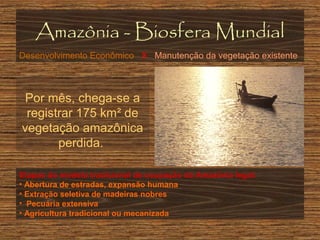 Amazônia - Biosfera Mundial
Desenvolvimento Econômico X Manutenção da vegetação existente

Por mês, chega-se a
registrar 175 km² de
vegetação amazônica
perdida.
Etapas do modelo tradicional de ocupação da Amazônia legal:
• Abertura de estradas, expansão humana
• Extração seletiva de madeiras nobres
• Pecuária extensiva
• Agricultura tradicional ou mecanizada

 