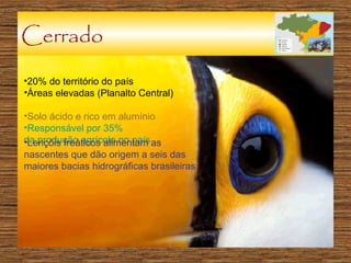 Cerrado
•20% do território do país
•Áreas elevadas (Planalto Central)
•Solo ácido e rico em alumínio
•Responsável por 35%
da produção agrícola no país as
•Lençóis freáticos alimentam
nascentes que dão origem a seis das
maiores bacias hidrográficas brasileiras.

 