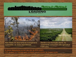 Nos meses de seca torna-se susceptível à
queimadas, as vezes espontâneas.

Devido a sua formação aberta, foi
vorazmente consumido pela agricultura
e pecuária.

As áreas degradadas ou em uso são de 50% a 80%.
4,5% de área do Cerrado está protegido em Unidades de Conservação.

 