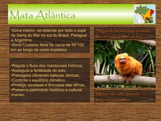 Mata Atlântica
•Zona interior, se estende por todo o sopé
da Serra do Mar no sul do Brasil, Paraguai
e Argentina.
•Zona Costeira, faixa de cerca de 50-100
km ao longo da costa brasileira.

•Regula o fluxo dos mananciais hídricos,
•Assegura a fertilidade do solo,
•Paisagens oferecem belezas cênicas,
•Controla o equilíbrio climático
•Protege escarpas e encostas das serras,
•Preserva patrimônio histórico e cultural
imenso.

Segundo bioma mais próximo
da extinção a nível globa!

Menos de 10% da mata
original permanece.

 