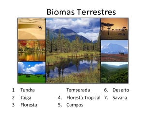 Biomas Terrestres

 