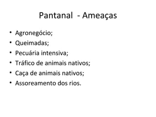 Pantanal - Ameaças
•
•
•
•
•
•

Agronegócio;
Queimadas;
Pecuária intensiva;
Tráfico de animais nativos;
Caça de animais nativos;
Assoreamento dos rios.

 