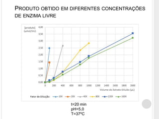 Extração, Caracterização e Imobilização da Enzima Invertase | PPTX