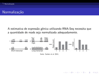 Normaliza¸c˜ao
Normaliza¸c˜ao
A estimativa de express˜ao gˆenica utilizando RNA-Seq necessita que
a quantidade de reads seja normalizada adequadamente.
fonte: Garber et al, 2011.
 