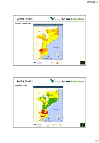 17/05/2013
12
African Pam Africana
Zoning Results
Elephant Grass
Zoning Results
 