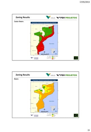 17/05/2013
15
Castor Beans
Zoning Results
Beans
Zoning Results
 