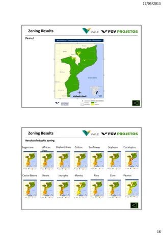 17/05/2013
18
Peanut
Zoning Results
Results of edaphic zoning
Sugarcane Elephant GrassAfrican
Pam
Cotton Sunflower Soybean Eucalyptus
Castor Beans JatrophaBeans Manioc Rice Corn Peanut
Zoning Results
 