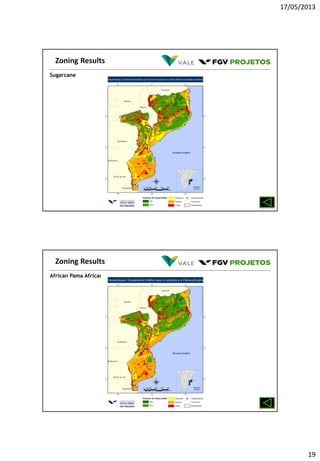 17/05/2013
19
Sugarcane
Zoning Results
African Pama Africana
Zoning Results
 