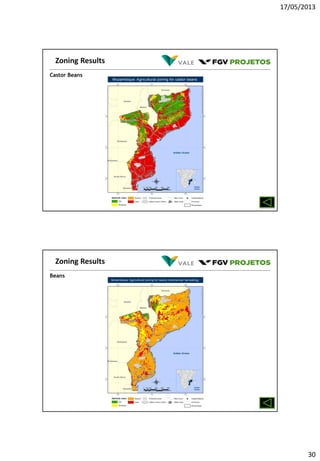 17/05/2013
30
Castor Beans
Zoning Results
Beans
Zoning Results
 