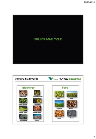 17/05/2013
7
CROPS ANALYZED
CROPS ANALYZED
Bioenergy Food
Sugarcane
Castor Beans
Napier grass
Eucalyptus
Jatropha curcas
Sunflower
African palm
Cotton
Corn Rice
Soybean Manioc
Peanut Beans
 