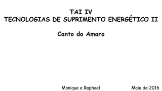 TAI IV
TECNOLOGIAS DE SUPRIMENTO ENERGÉTICO II
Canto do Amaro
Monique e Raphael Maio de 2016
 