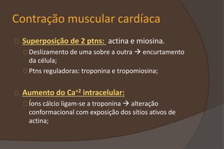 Contração muscular cardíaca
Superposição de 2 ptns: actina e miosina.
Deslizamento de uma sobre a outra  encurtamento
da célula;
Ptns reguladoras: troponina e tropomiosina;
Aumento do Ca+2 intracelular:
Íons cálcio ligam-se a troponina  alteração
conformacional com exposição dos sítios ativos de
actina;
 
