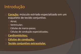 Introdução
Coração: músculo estriado especializado em um
esqueleto de tecido conjuntivo.
Atrial;
Ventricular;
Células de marca-passo;
Células de condução especializadas;
Cardiomiócitos;
Células de condução;
Tecido conjuntivo extracelular.
 