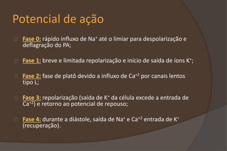 Potencial de ação
Fase 0: rápido influxo de Na+ até o limiar para despolarização e
deflagração do PA;
Fase 1: breve e limitada repolarização e início de saída de íons K+;
Fase 2: fase de platô devido a influxo de Ca+2 por canais lentos
tipo L;
Fase 3: repolarização (saída de K+ da célula excede a entrada de
Ca+2) e retorno ao potencial de repouso;
Fase 4: durante a diástole, saída de Na+ e Ca+2 entrada de K+
(recuperação).
 
