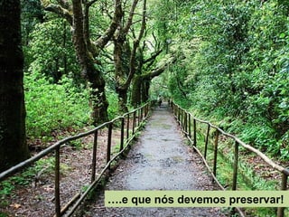 ….e que nós devemos preservar!
 