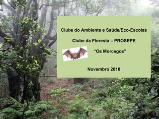 Clube do Ambiente e Saúde/Eco-Escolas
Clube da Floresta – PROSEPE
“Os Morcegos”
Novembro 2010
 