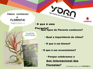 Vamos conhecer a  FLORESTA! Capítulo 1 O que é uma Floresta? Que tipos de Floresta conheces? Qual a importância do clima? O que é um bioma? O que é um ecossistema? Porque celebramos o Ano Internacional das Florestas ? A Floresta não é só  PAISAGEM | 2 