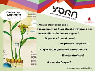 Fenómenos   INVISÍVEIS! Capítulo 4 Alguns dos fenómenos que ocorrem na Floresta são invisíveis aos nossos olhos. Conheces alguns? O que é a fotossíntese? As plantas respiram?! O que são organismos autotróficos? E heterotróficos? O que são fungos? A Floresta não é só  PAISAGEM | 4 