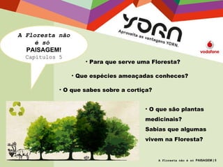 A Floresta não é só  PAISAGEM! Capítulos 5 Para que serve uma Floresta? Que espécies ameaçadas conheces? O que sabes sobre a cortiça? O que são plantas medicinais? Sabias que algumas vivem na Floresta? A Floresta não é só  PAISAGEM | 5 