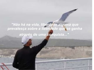 Apresentação flying