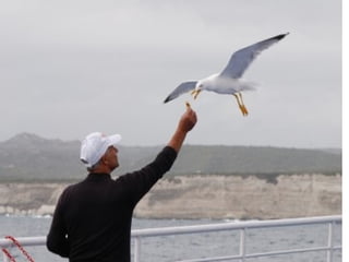 "Não há na vida, liberdade alguma que prevalesça
 sobre a liberdade que se ganha através de uma
                 conquista..."
 