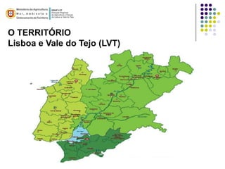 O TERRITÓRIO
Lisboa e Vale do Tejo (LVT)
 