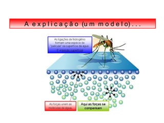 A e x p l i c a ç ã o (u m m o d e l o) . . . 
 