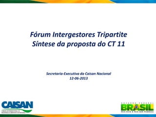 Fórum Intergestores Tripartite
Síntese da proposta do CT 11
Secretaria-Executiva da Caisan Nacional
12-06-2013
 