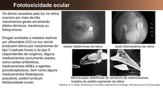 13
Fototoxicidade ocular
Glickman, R. D. (2002). Phototoxicity to the Retina: Mechanisms of Damage. International Journal of Toxicology.
Os danos causados pela luz na retina
ocorrem por meio de três
mecanismos gerais envolvendo
efeitos térmicos, mecânicos ou
fotoquímicos.
Drogas excitadas a estados reativos
por ultravioleta (UV) ou luz visível
produzem danos por mecanismos do
tipo I (radicais livres) e do tipo II
(dependentes de oxigênio). Alguns
medicamentos comumente usados,
como certos antibióticos,
medicamentos AINEs e agentes
psicoterapêuticos, bem como alguns
medicamentos fitoterápicos
populares, podem produzir
fototoxicidade ocular.
lesões fototérmicas da retina lesão fotomecânica da retina
Microscopias eletrônicas de varredura de melanossomos
isolados do epitélio pigmentar da retina
 