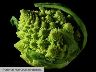 fractal natural: brócolis
 