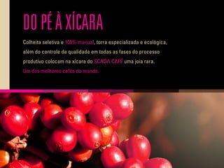 DO PÉÀ XÍCARA
Colheita seletiva e 100% manual, torra especializada e ecológica,
além do controle de qualidade em todas as fases do processo
produtivo colocam na xícara do SCADA CAFÉ uma joia rara.
Um dos melhores cafés do mundo.
 