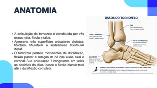 A articulação do tornozelo é constituída por três
ossos: tíbia, fíbula e tálus.
Apresenta três superfícies articulares distintas:
tibiotalar, fibulotalar e sindesmose tibiofibular
distal.
O tornozelo permite movimentos de dorsiflexão,
flexão plantar e rotação do pé nos eixos axial e
coronal. Sua articulação é congruente em todas
as posições do tálus, desde a flexão plantar total
até a dorsiflexão completa.
ANATOMIA
 