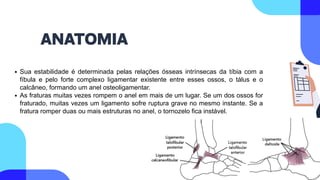 Sua estabilidade é determinada pelas relações ósseas intrínsecas da tíbia com a
fíbula e pelo forte complexo ligamentar existente entre esses ossos, o tálus e o
calcâneo, formando um anel osteoligamentar.
As fraturas muitas vezes rompem o anel em mais de um lugar. Se um dos ossos for
fraturado, muitas vezes um ligamento sofre ruptura grave no mesmo instante. Se a
fratura romper duas ou mais estruturas no anel, o tornozelo fica instável.
ANATOMIA
 