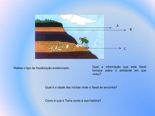 Qual a informação que este fóssil fornece sobre o ambiente em que viveu? Qual é a idade das rochas onde o fóssil se encontra?  Como é que a Terra conta a sua história?  Refere o tipo de fossilização evidenciado. A B C 