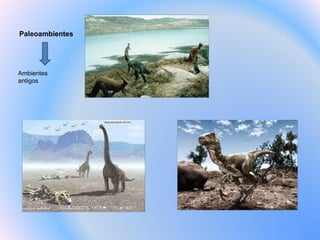 Paleoambientes Ambientes antigos 