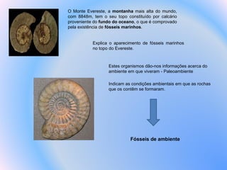 Fósseis de ambiente Indicam as condições ambientais em que as rochas que os contêm se formaram. O Monte Evereste, a  montanha  mais alta do mundo, com 8848m, tem o seu topo constituído por calcário proveniente do  fundo do oceano , o que é comprovado pela existência de  fósseis marinhos .  Explica o aparecimento de fósseis marinhos no topo do Evereste. Estes organismos dão-nos informações acerca do ambiente em que viveram - Paleoambiente  