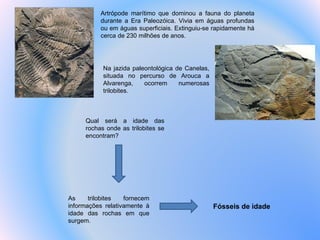 Fósseis de idade Artrópode marítimo que dominou a fauna do planeta durante a Era Paleozóica. Vivia em águas profundas ou em águas superficiais. Extinguiu-se rapidamente há cerca de 230 milhões de anos. As trilobites fornecem informações relativamente à idade das rochas em que surgem. Na jazida paleontológica de Canelas, situada no percurso de Arouca a Alvarenga, ocorrem numerosas trilobites. Qual será a idade das rochas onde as trilobites se encontram?  