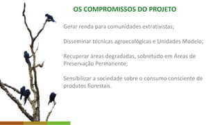 OS COMPROMISSOS DO PROJETO
Gerar renda para comunidades extrativistas;
Disseminar técnicas agroecológicas e Unidades Modelo;
Recuperar áreas degradadas, sobretudo em Áreas de
Preservação Permanente;
Sensibilizar a sociedade sobre o consumo consciente de
produtos florestais.
 